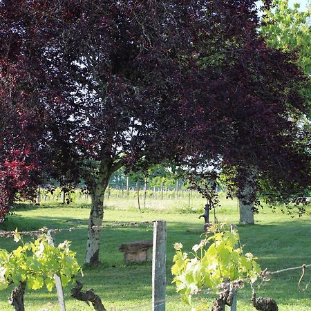 La Vigneraie De Laura Acomodação com café da manhã Sainte-Colombe  Exterior foto